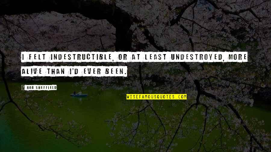 Fajna Grafika Quotes By Rob Sheffield: I felt indestructible, or at least undestroyed, more