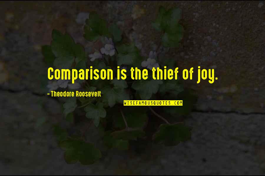 Fake Breast Quotes By Theodore Roosevelt: Comparison is the thief of joy.