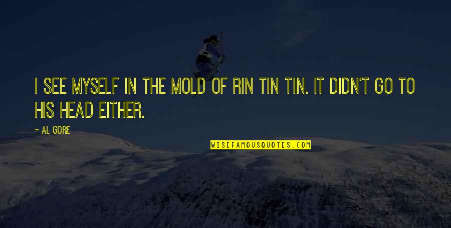 Fake Friends Come And Go Quotes By Al Gore: I see myself in the mold of Rin