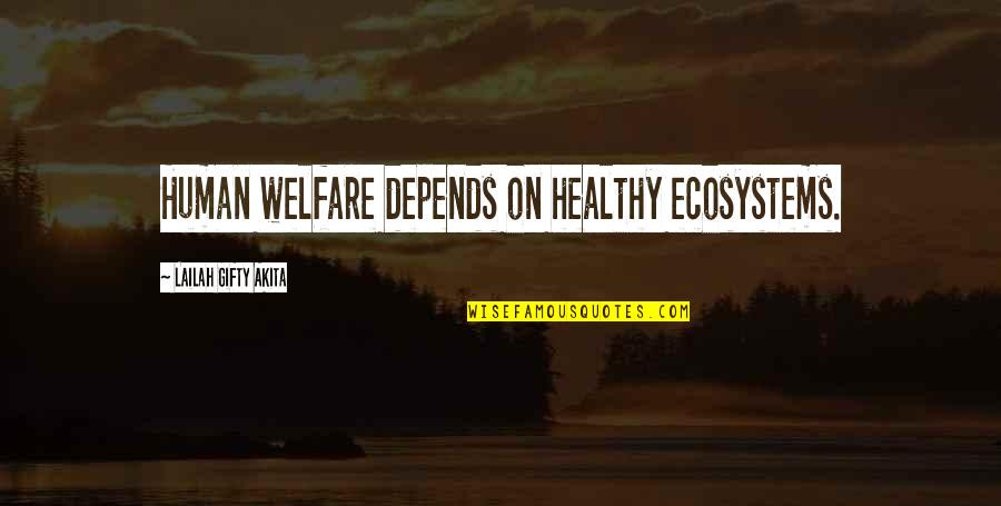 Fake Hoes Quotes By Lailah Gifty Akita: Human welfare depends on healthy ecosystems.