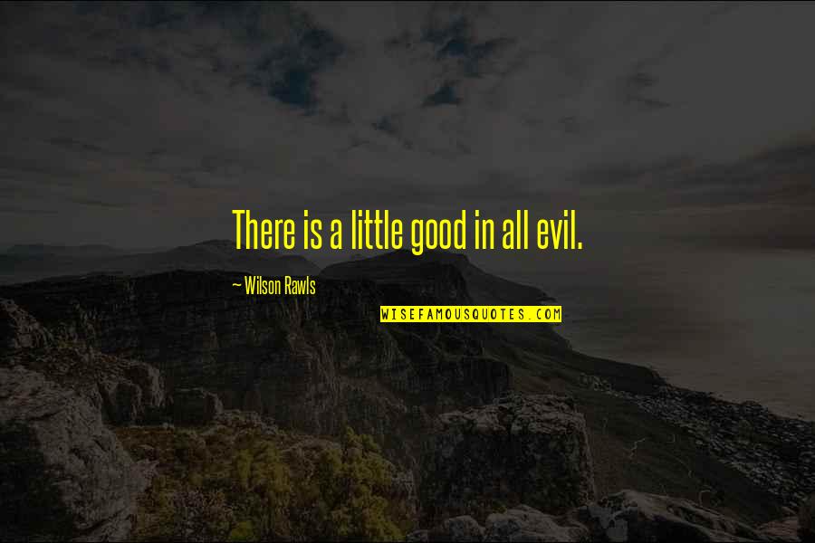 Fake Love Relationships Quotes By Wilson Rawls: There is a little good in all evil.