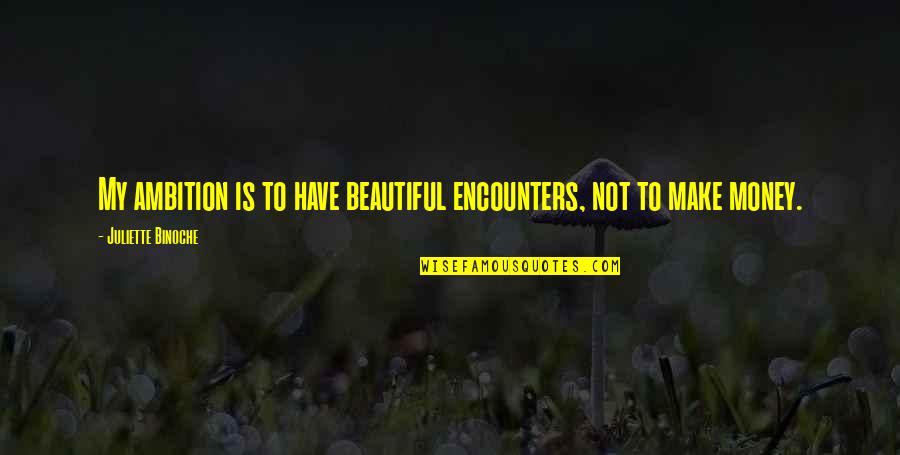 Fake Rednecks Quotes By Juliette Binoche: My ambition is to have beautiful encounters, not