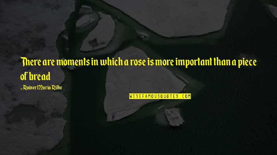 Fake Selfish Family Quotes By Rainer Maria Rilke: There are moments in which a rose is