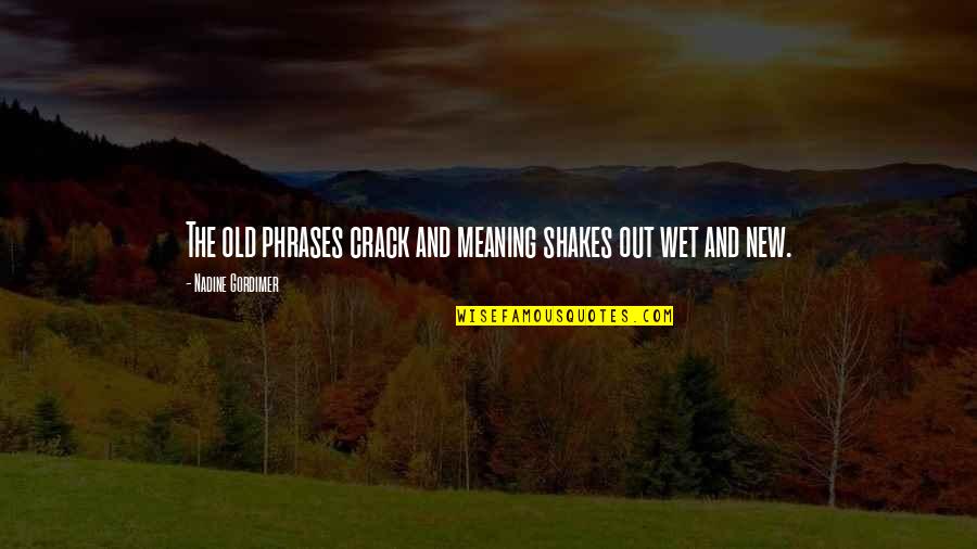 Fake Smile Tumblr Quotes By Nadine Gordimer: The old phrases crack and meaning shakes out