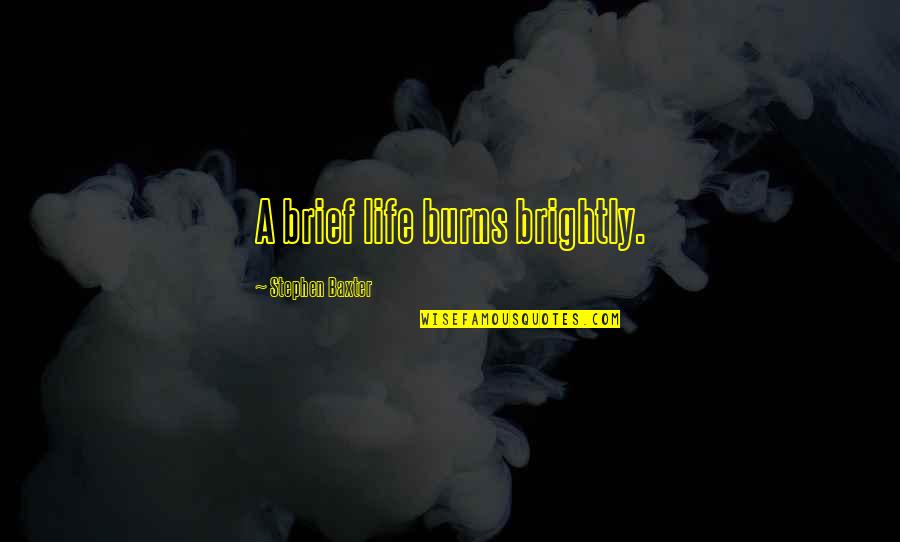 Fakih Ivf Quotes By Stephen Baxter: A brief life burns brightly. Fakih Ivf Quotes By Stephen Baxter: A brief life burns brightly.