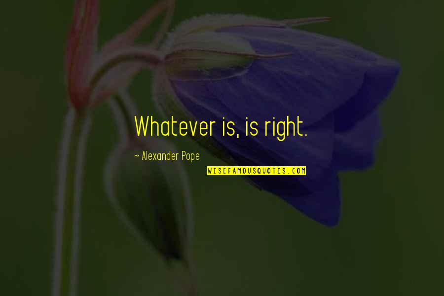 Faking Confidence Quotes By Alexander Pope: Whatever is, is right.