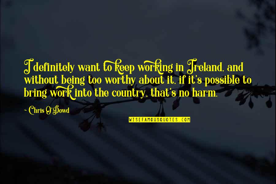 Falahee Ann Quotes By Chris O'Dowd: I definitely want to keep working in Ireland, Falahee Ann Quotes By Chris O'Dowd: I definitely want to keep working in Ireland,