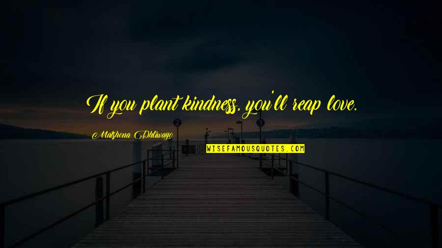 Falcetti Clark Quotes By Matshona Dhliwayo: If you plant kindness, you'll reap love.