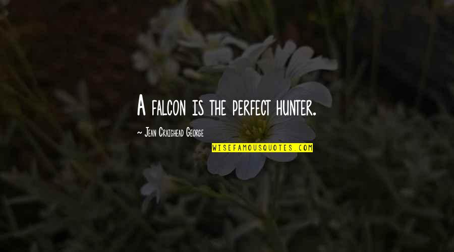 Falcon Best Quotes By Jean Craighead George: A falcon is the perfect hunter.