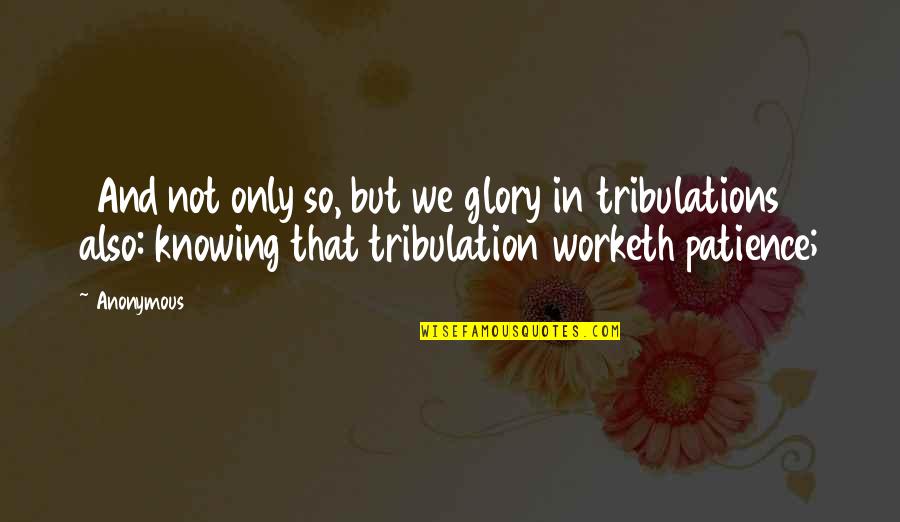 Falhados Quotes By Anonymous: 3And not only so, but we glory in Falhados Quotes By Anonymous: 3And not only so, but we glory in