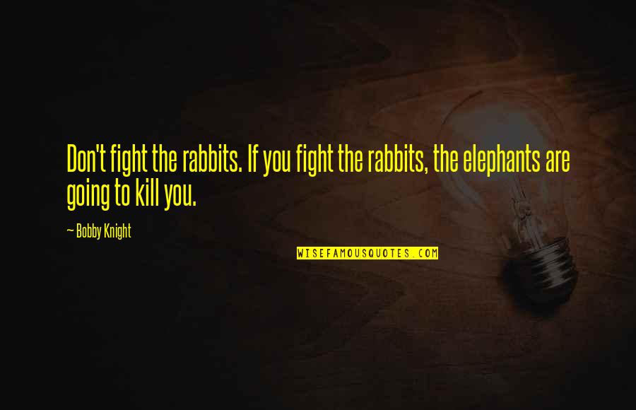 Falhas De Mercado Quotes By Bobby Knight: Don't fight the rabbits. If you fight the