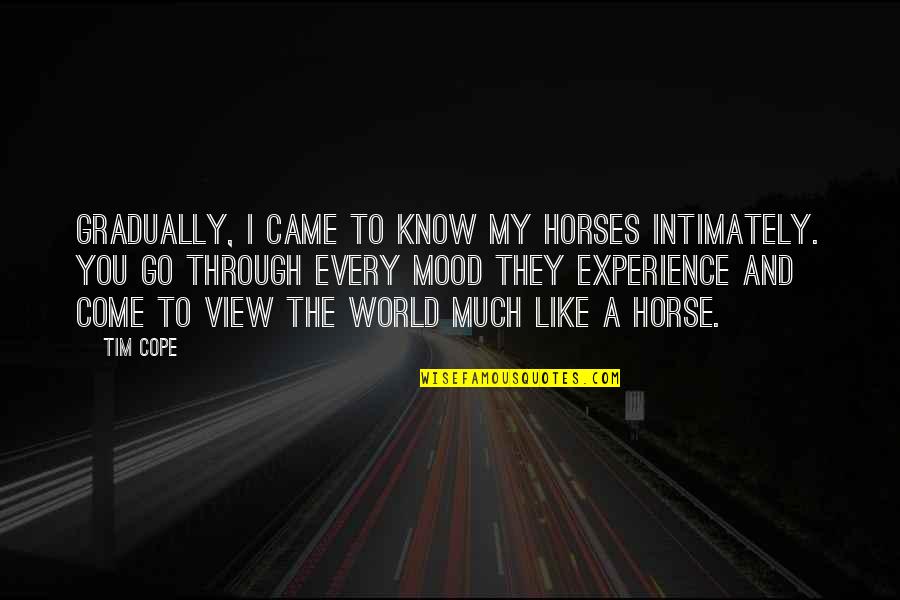 Faline Quotes By Tim Cope: Gradually, I came to know my horses intimately. Faline Quotes By Tim Cope: Gradually, I came to know my horses intimately.