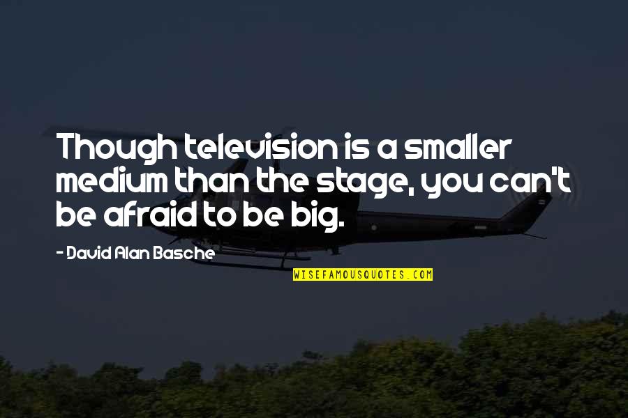 Fall Biking Quotes By David Alan Basche: Though television is a smaller medium than the