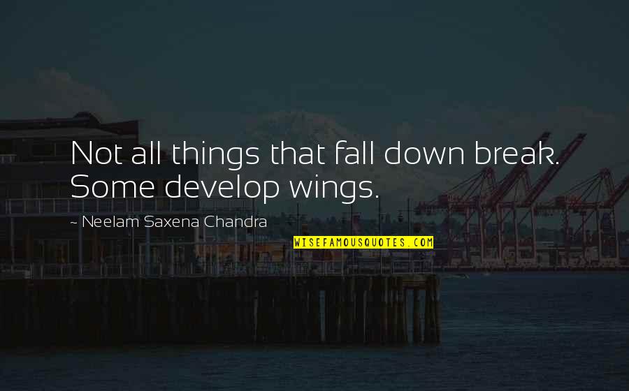 Fall Break Quotes By Neelam Saxena Chandra: Not all things that fall down break. Some