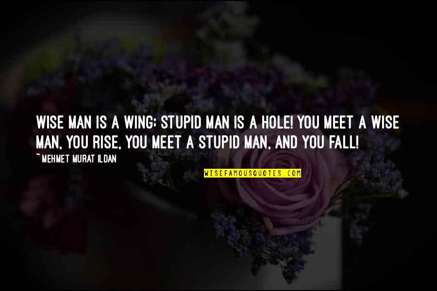 Fall But Rise Quotes By Mehmet Murat Ildan: Wise man is a wing; stupid man is