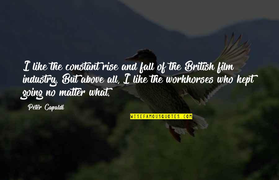 Fall But Rise Quotes By Peter Capaldi: I like the constant rise and fall of