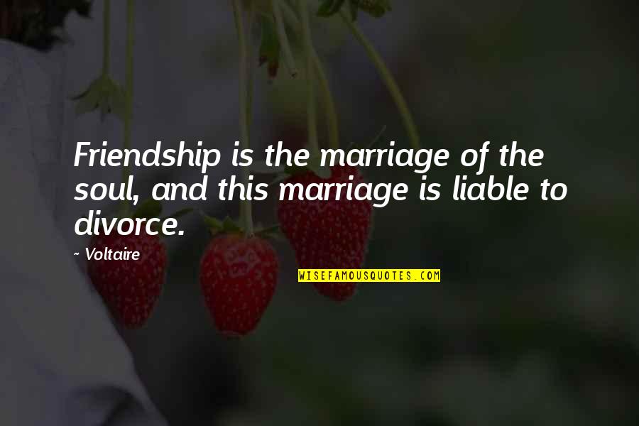 Fall Door Quotes By Voltaire: Friendship is the marriage of the soul, and