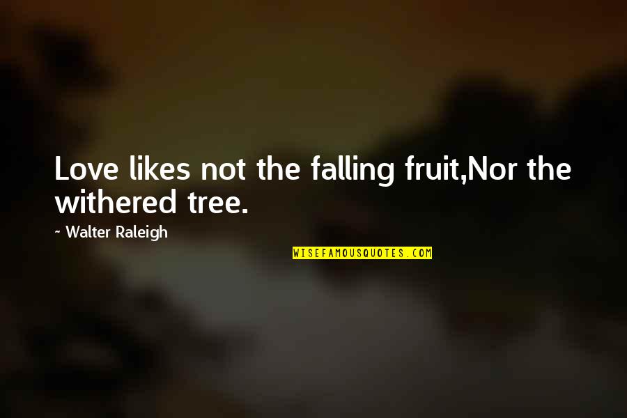 Fall Falling Quotes By Walter Raleigh: Love likes not the falling fruit,Nor the withered