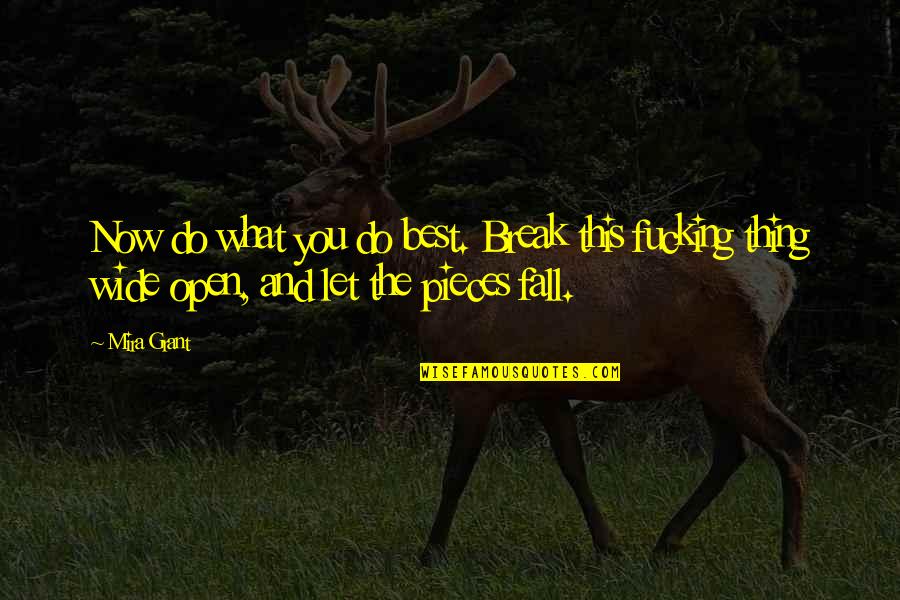 Fall Into Pieces Quotes By Mira Grant: Now do what you do best. Break this