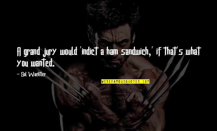 Fall Of Efrafa Quotes By Sol Wachtler: A grand jury would 'indict a ham sandwich,'