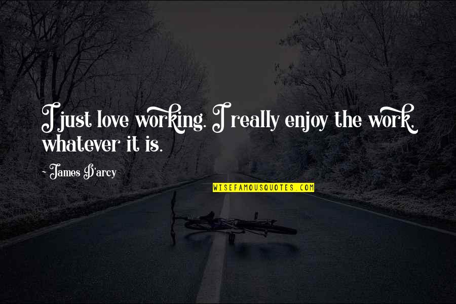 Fall Weekend Inspirational Quotes By James D'arcy: I just love working. I really enjoy the