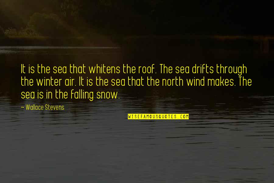 Fall Winter Quotes By Wallace Stevens: It is the sea that whitens the roof.