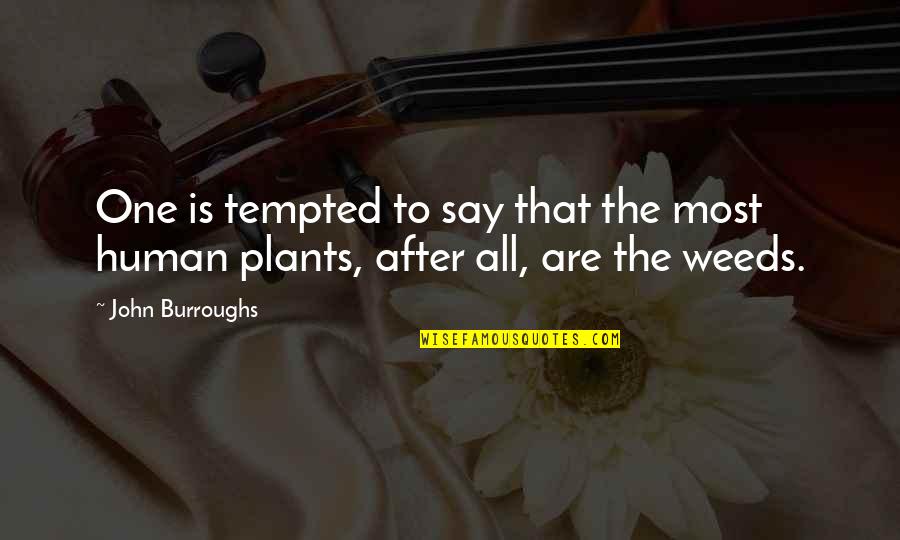 Falle Quotes By John Burroughs: One is tempted to say that the most