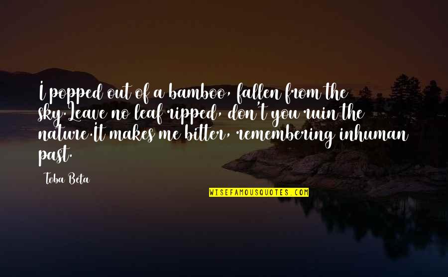 Fallen Quotes By Toba Beta: I popped out of a bamboo, fallen from