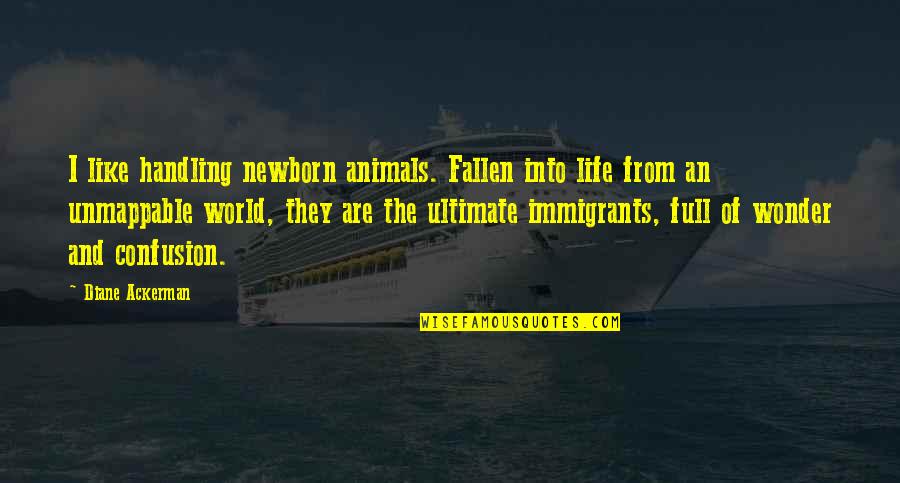Fallen World Quotes By Diane Ackerman: I like handling newborn animals. Fallen into life Fallen World Quotes By Diane Ackerman: I like handling newborn animals. Fallen into life