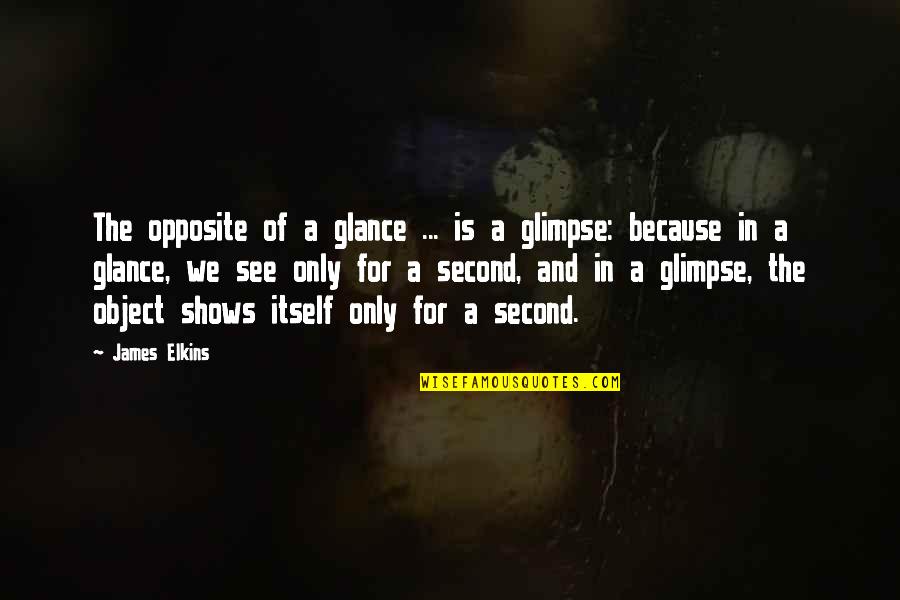 Fallido De Luna Quotes By James Elkins: The opposite of a glance ... is a