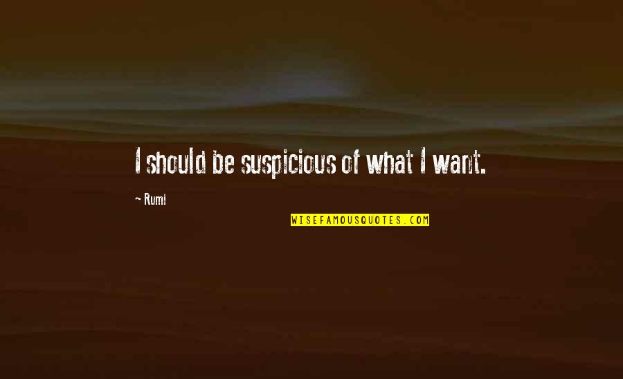 Fallies Quotes By Rumi: I should be suspicious of what I want.