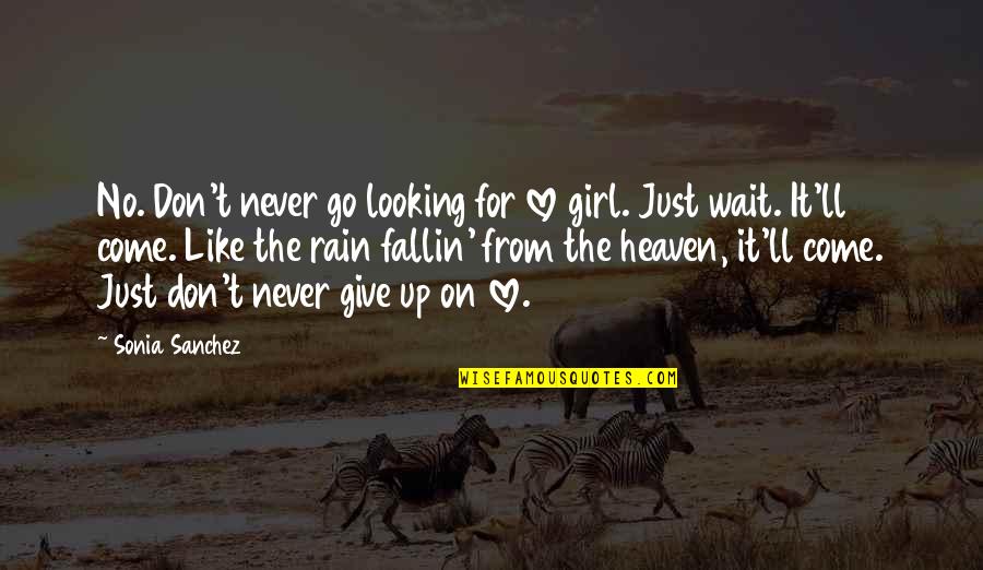 Fallin Quotes By Sonia Sanchez: No. Don't never go looking for love girl. Fallin Quotes By Sonia Sanchez: No. Don't never go looking for love girl.
