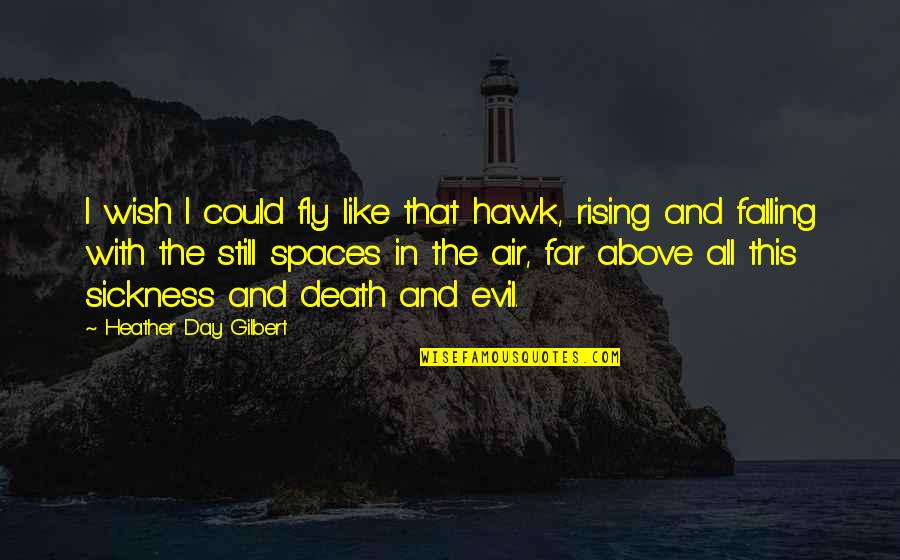 Falling And Rising Up Quotes By Heather Day Gilbert: I wish I could fly like that hawk,