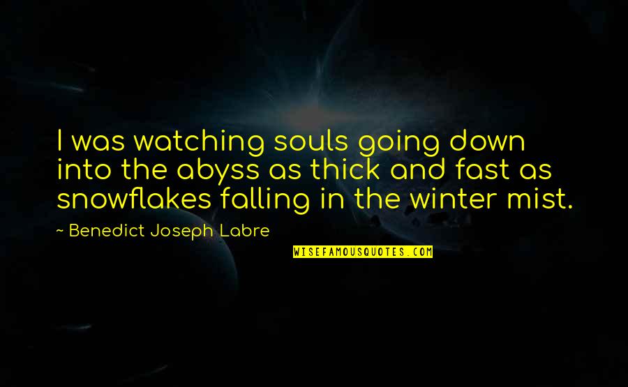 Falling Fast Quotes By Benedict Joseph Labre: I was watching souls going down into the