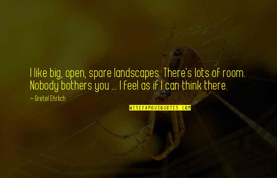 Falling For Someone You Never Met Quotes By Gretel Ehrlich: I like big, open, spare landscapes. There's lots