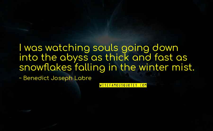 Falling For You Fast Quotes By Benedict Joseph Labre: I was watching souls going down into the