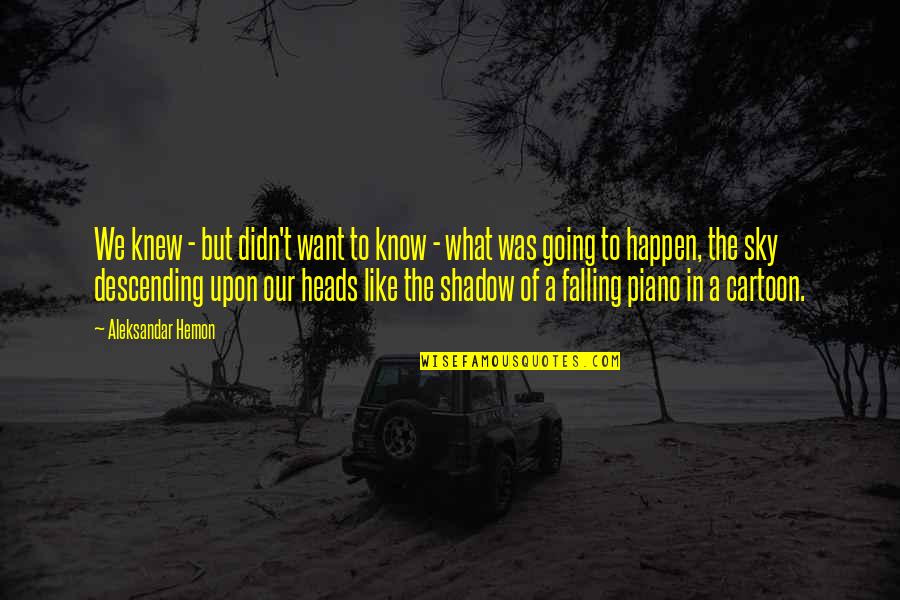 Falling From The Sky Quotes By Aleksandar Hemon: We knew - but didn't want to know