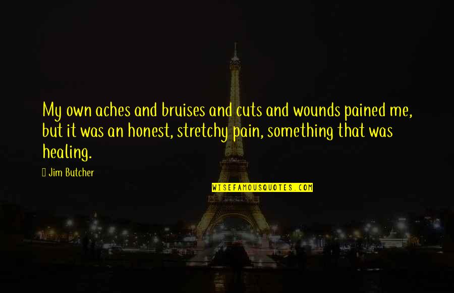 Falling Head Over Heels Quotes By Jim Butcher: My own aches and bruises and cuts and