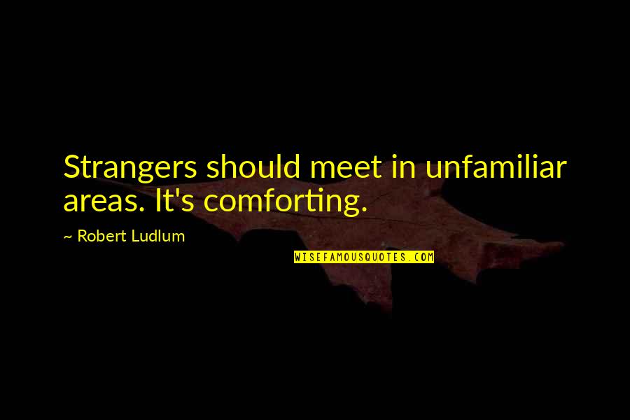 Falling In Love Accidentally Quotes By Robert Ludlum: Strangers should meet in unfamiliar areas. It's comforting.