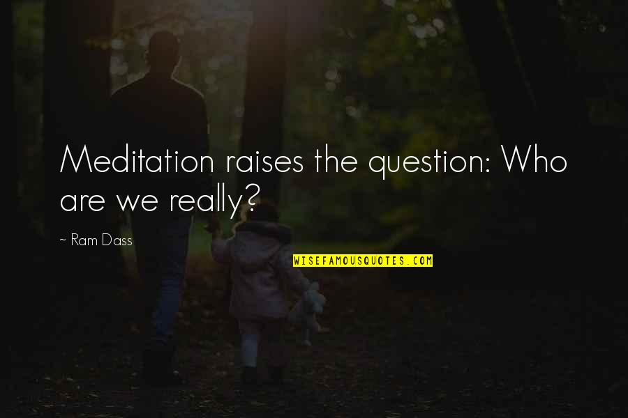 Falling In Love Deeply Quotes By Ram Dass: Meditation raises the question: Who are we really?