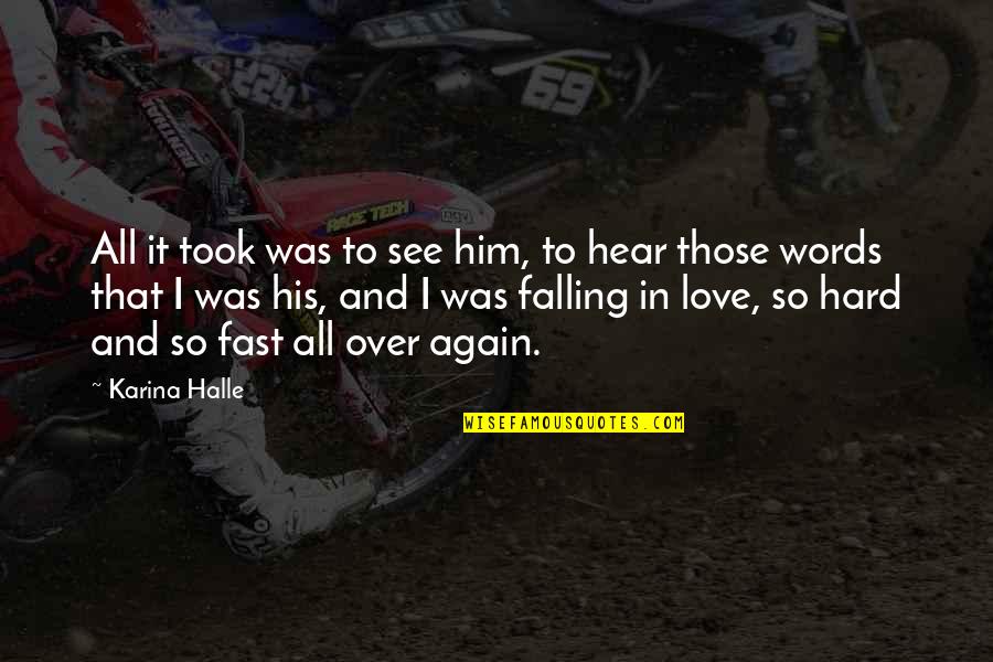 Falling In Love So Fast Quotes By Karina Halle: All it took was to see him, to