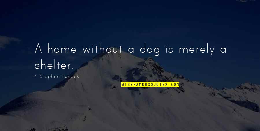 Falling Off The Edge Quotes By Stephen Huneck: A home without a dog is merely a