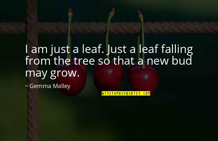 Falling Out Of A Tree Quotes By Gemma Malley: I am just a leaf. Just a leaf