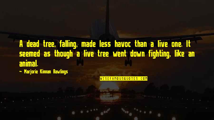 Falling Out Of A Tree Quotes By Marjorie Kinnan Rawlings: A dead tree, falling, made less havoc than
