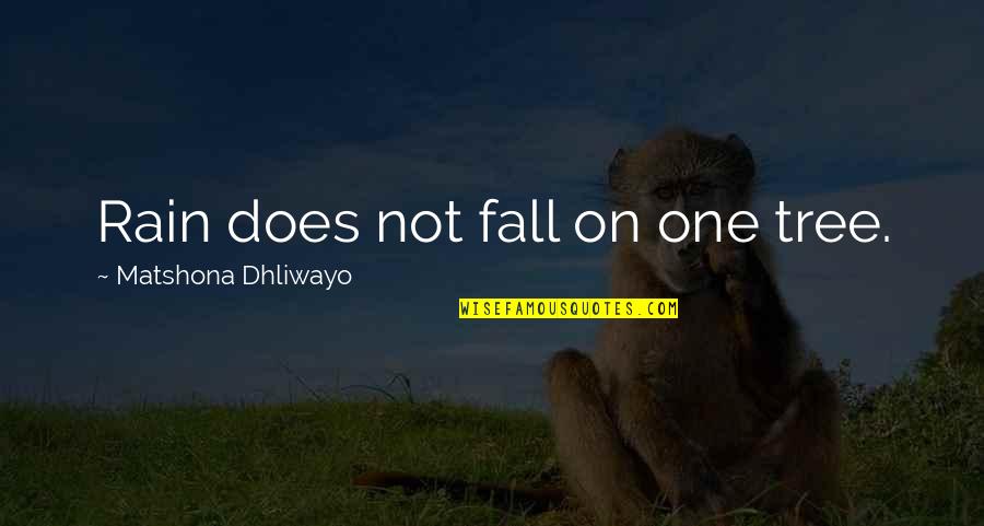Fall'n Quotes By Matshona Dhliwayo: Rain does not fall on one tree.