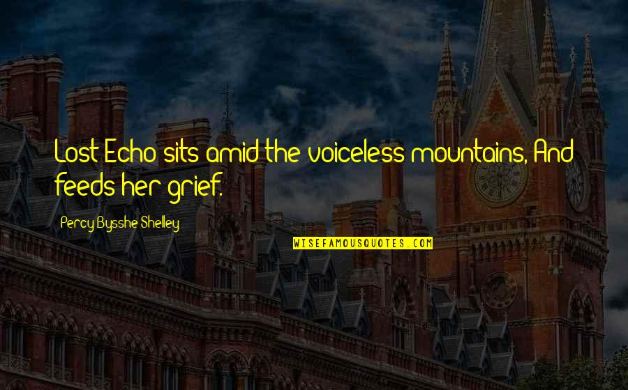 Fallon Carrington Quotes By Percy Bysshe Shelley: Lost Echo sits amid the voiceless mountains, And