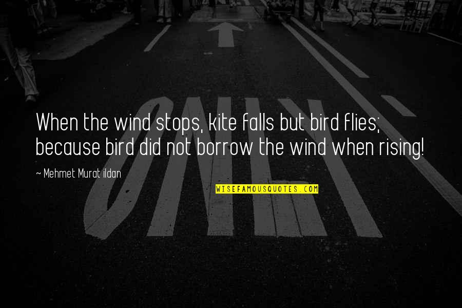 Falls And Rising Quotes By Mehmet Murat Ildan: When the wind stops, kite falls but bird Falls And Rising Quotes By Mehmet Murat Ildan: When the wind stops, kite falls but bird