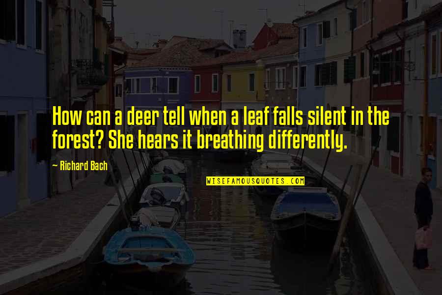 Falls Nature Quotes By Richard Bach: How can a deer tell when a leaf