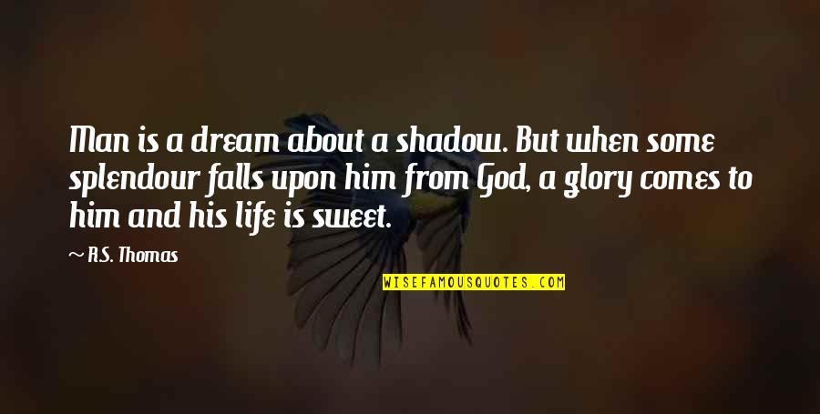 Falls Of Life Quotes By R.S. Thomas: Man is a dream about a shadow. But