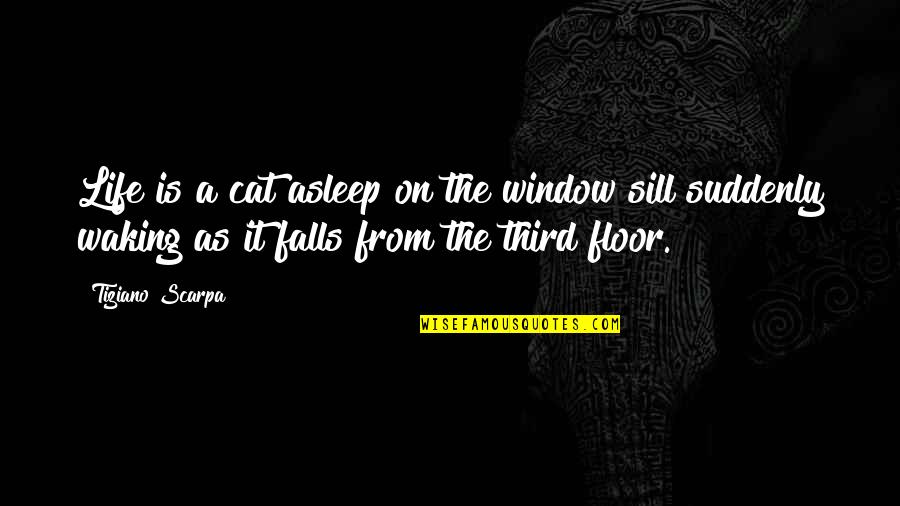 Falls Of Life Quotes By Tiziano Scarpa: Life is a cat asleep on the window